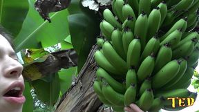 a banana era pequena e corri para o bambu que e bem maior - pamela pantera - big bambu