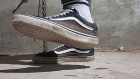 I'm Showing off My Vans Shoes, a Compilation of the Best with Vans