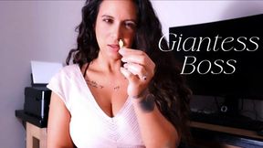 Giantess Boss (wmv)