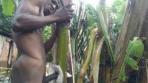 Man All Alone in the Forest and Make the Plantain Tree Is Wife and Fuck on It