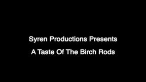 A Taste Of The Birch Rods (MP4)