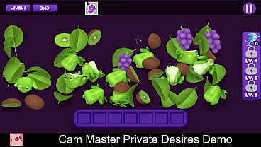 Cam Master: Private Desires