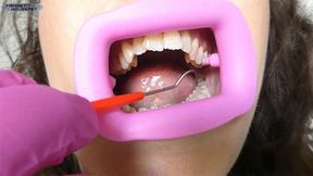 Close Up Pink Dental Exam