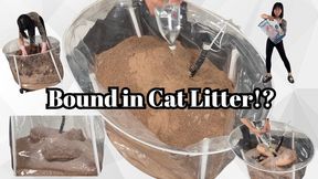 Bound in Cat Litter!?