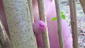 Horny alone in the forest, a hazel bush gets popped