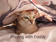 Hide and seek with daddy