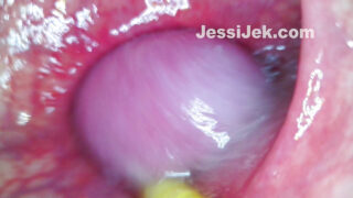 Rubia preciosa es follada duro y recibe creampie en su perfecto culo