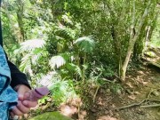 Guided Rainforest Hike With Mr.Grandecito