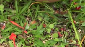 Intense Pleasure & Loads of Cumshots: Hot Cumpilation Video