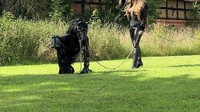 ponyplay training running in circles