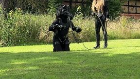 ponyplay training running in circles