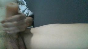 Sex toy vagina