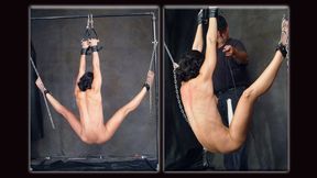 Fitness Models Bound Volume Three - Wenona Suspended and Whipped