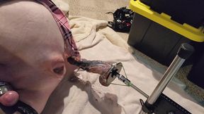 The aftermath of getting fucked!