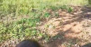 Slut Wife Sneaks Off In The Middle Of The Walk To Suck Off One Of Her Husband&#039;s Friends And Can&#039;t Resist The Urge To Try New Mil