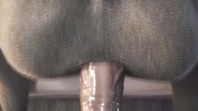 Levi's Puppy Trainer: Video #1