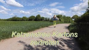 Crush cat litter boxes - Katzenstreu-Kartons zertreten