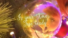 Is your Xmas Tree ready