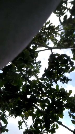 Cameltoe and voyeur   Clip 2