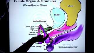 HOW TO SQUIRT ?! Explained FAST !!! Mr PussyLicking