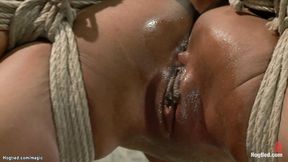 ”Hogtied ebony oiled & humiliated”