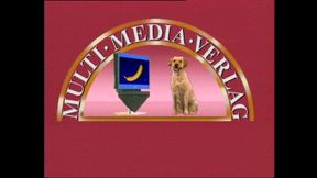 Nymphomaniacs and Their Endless Thirst for Cock and Pussy