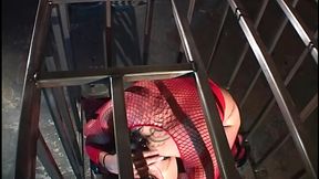 gianna michaels sucks steven french dick from cage