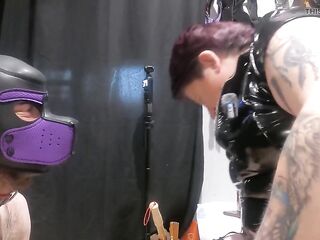 Pet Play Praise and pet Collar Training
