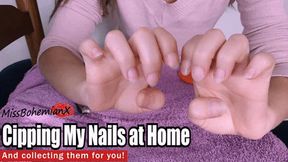 Clipping my Long Nails and Collecting Them For You - Hands Fetish - MissBohemianX - HD MP4
