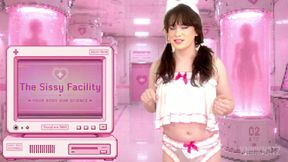 Sissy Terms and Conditions