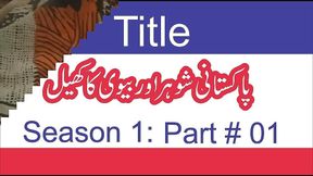 Pakistani Husband and Wife Romance Season 1- Episode 1