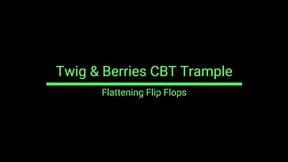 Flattening Flip Flops