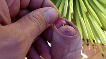 Self foreskin playpiercing with agave thorn in desert