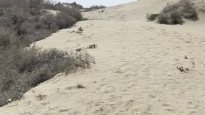 Public lovers give the best blowjobs on nude beach
