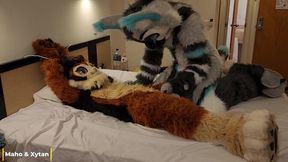 Married wife gets played with by her kinky husband in a fur suit