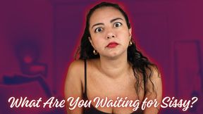 What Are You Waiting For Sissy