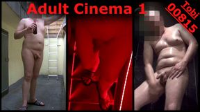 Adult Cinema Day 1 full shaved: Showering, naked on terrace, cruising, meeting stranger naked on stairs. Exhibitionist Tobi00815