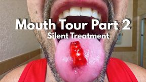 Mouth Tour Part 2: Silent Treatment