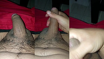 Mexicodick1 - update #12 - 963 - Jun 28, 2026