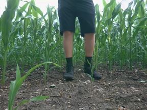 Guy Pissing a Lot Near the Field in Nature