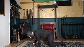 GOLDEN WHIP : HUMAN FORNITURE T&D