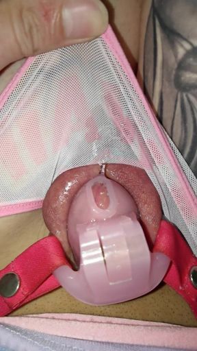 Tiny Cock Locked in Chastity and Dripping Wet Panties