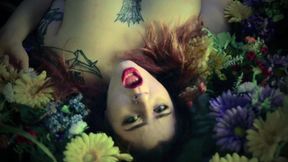 Like Your French Girl