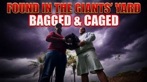 FOUND IN THE GIANTS' YARD – Tiny Gets Bagged, Caged & Dominated By Giant Tom & Big Daddy