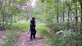 ARSCH RAUS DIE BULLWHIP WILL TANZEN