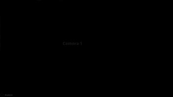 Luna DarkMoon VS Johnny Walker Black (Naked Fighter 3D)