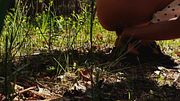 White Girl with Big Ass likes to play Outside-Toronto Diaries