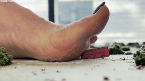 The City of Miss Fair Trade - Part 1