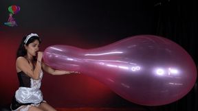 Nova’s Huge 24" B2P Shoutout 4K (3840x2160) Blow to Pop