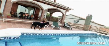 Culioneros - Colombian Babe Jade Kitti Sunbathes Her Juicy Ass by the Pool Before Getting Fucked